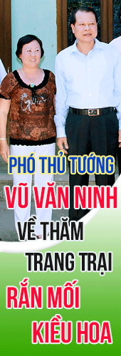 Pho thu tuong vu van ninh tham Trang Trai Kieu Hoa