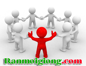 Quy trình thu mua sản phẩm cho các đại lý | ran moi, ran moi giong, ran moi thit, quy trinh nuoi ran moi, ban ran moi, mua ran moi, con ran moi, ran moi thuong pham, ban ran moi giong, mụa ran moi giong, ban ran moi thit, mua ran moi thit, bao tieu ran moi, thit ran moi, che bien ran moi, dien dan ran moi